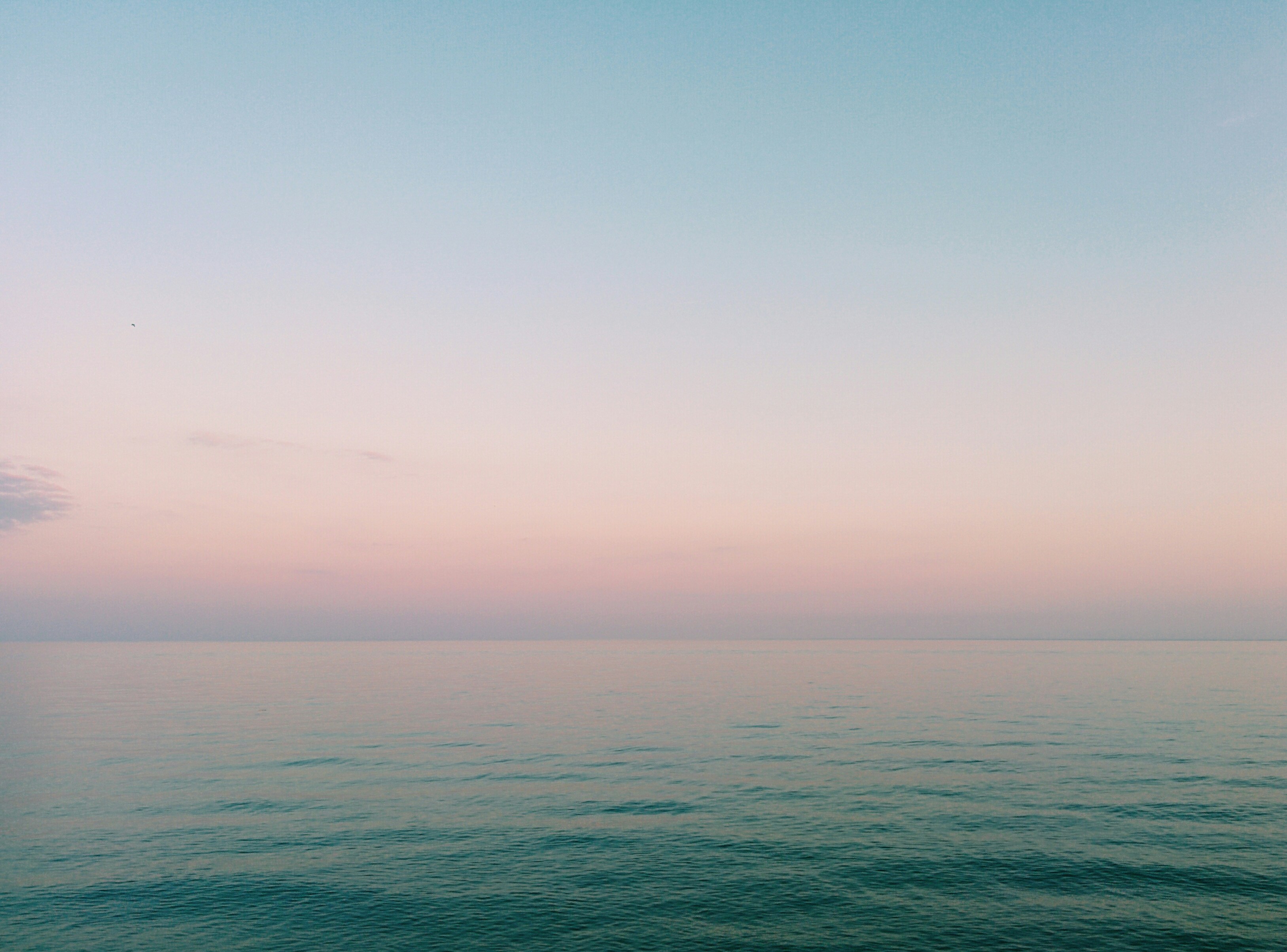 Nature and wellness